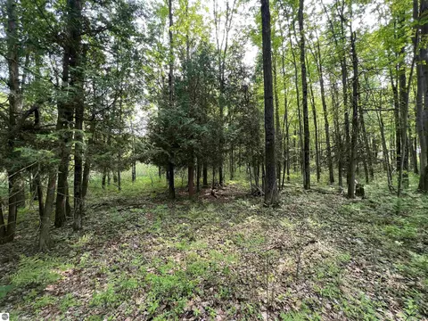 2507 3 Mile Rd, Sears, MI 49679 photo 83