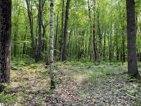 2507 3 Mile Rd, Sears, MI 49679 photo 67