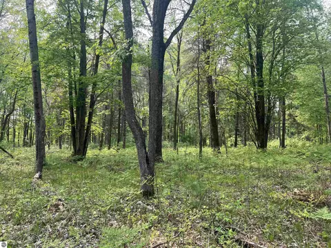 2507 3 Mile Rd, Sears, MI 49679 photo 84