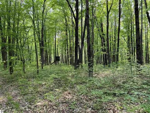 2507 3 Mile Rd, Sears, MI 49679 photo 74