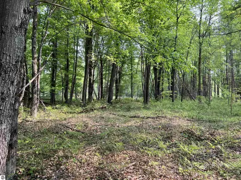 2507 3 Mile Rd, Sears, MI 49679 photo 59