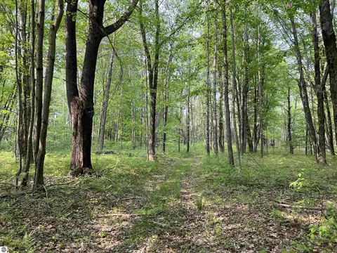 2507 3 Mile Rd, Sears, MI 49679 photo 66