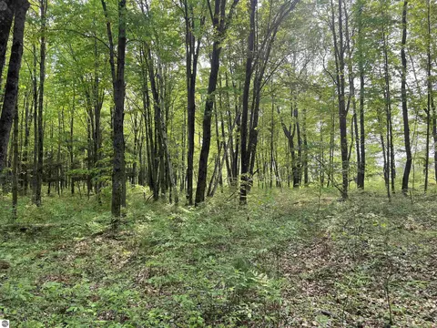 2507 3 Mile Rd, Sears, MI 49679 photo 82