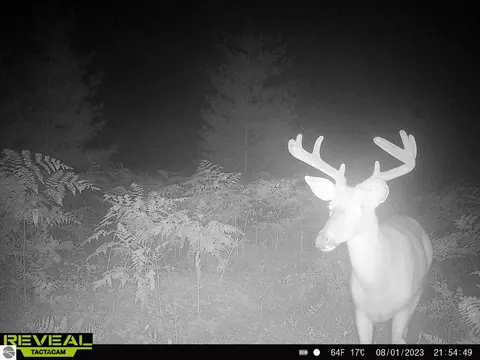 2507 3 Mile Rd, Sears, MI 49679 photo 28