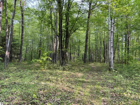 2507 3 Mile Rd, Sears, MI 49679 photo 61