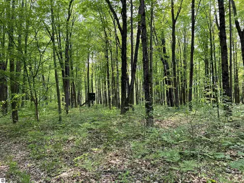 2507 3 Mile Rd, Sears, MI 49679 photo 73
