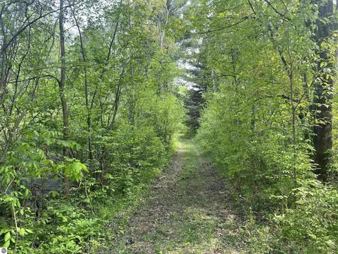 2507 3 Mile Rd, Sears, MI 49679 photo 96