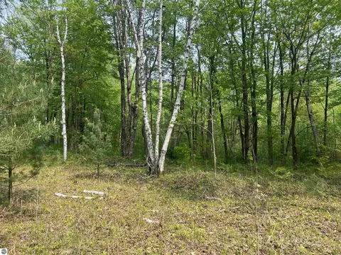 2507 3 Mile Rd, Sears, MI 49679 photo 87