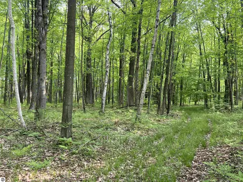 2507 3 Mile Rd, Sears, MI 49679 photo 78