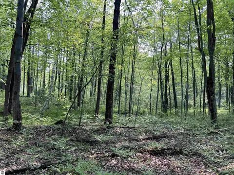 2507 3 Mile Rd, Sears, MI 49679 photo 57