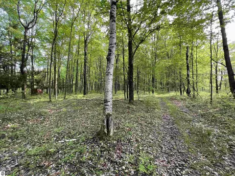 2507 3 Mile Rd, Sears, MI 49679 photo 80