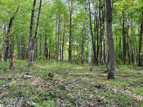2507 3 Mile Rd, Sears, MI 49679 photo 68