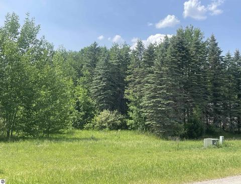 Lot 2 Ringneck Lane, Buckley, MI 49620