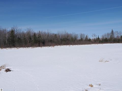 Nnn W M-48, Pickford, MI 49774