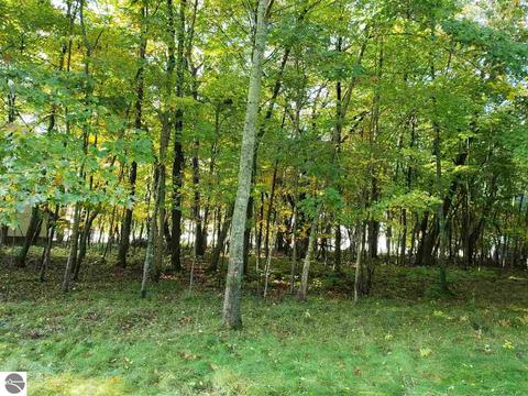 N/a Booth Road, Au Gres, MI 48703
