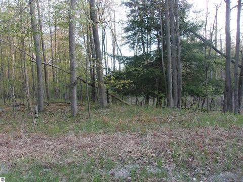 00 Twining Rd, Twining, MI 48766