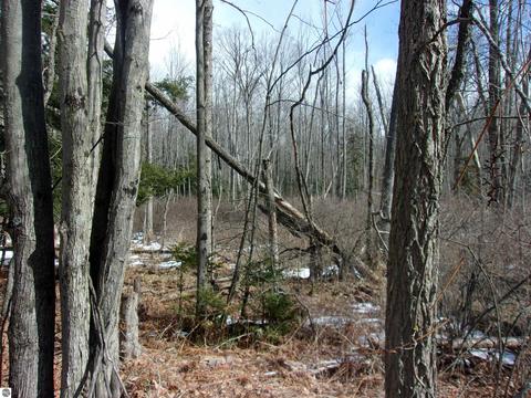 00 Twining Rd, Twining, MI 48766 photo 5
