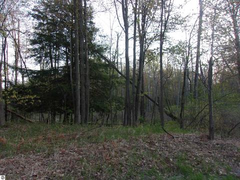 00 Twining Rd, Twining, MI 48766 photo 2