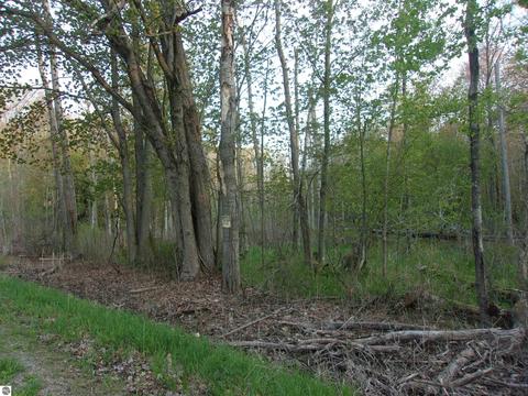 00 Twining Rd, Twining, MI 48766 photo 4