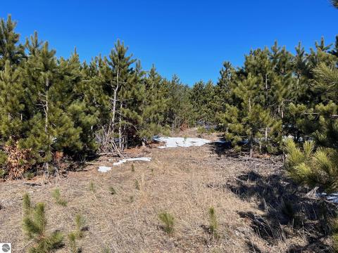 Parcel F Country Pines Drive, Kingsley, MI 49649