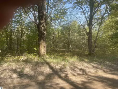 Lot E Betsie River Road, Interlochen, MI 49643 photo 3