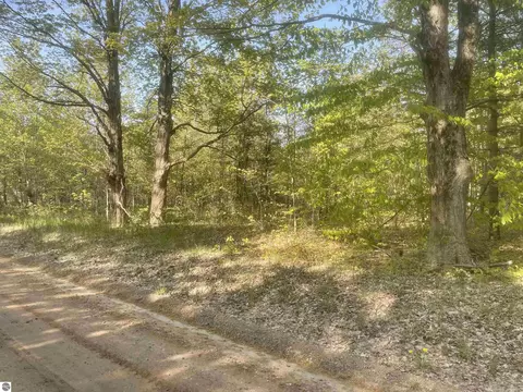 Lot E Betsie River Road, Interlochen, MI 49643 photo 4