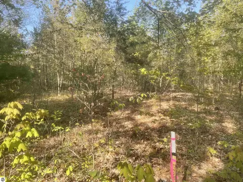 Lot E Betsie River Road, Interlochen, MI 49643 photo 6