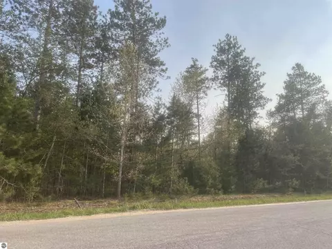 Lot G Riley Road, Interlochen, MI 49643