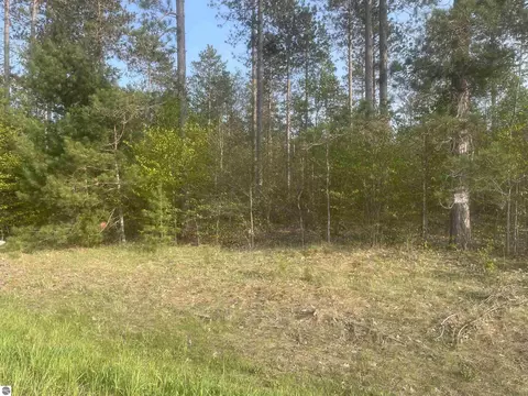 Lot H Riley Road, Interlochen, MI 49643