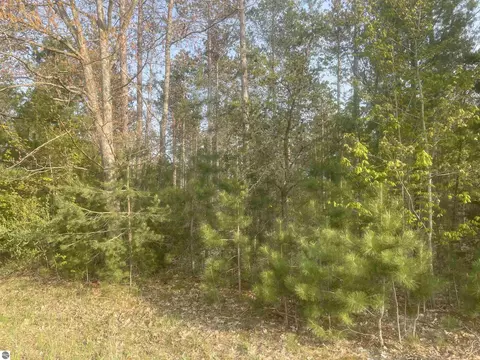 Lot I Riley Road, Interlochen, MI 49643