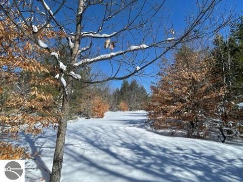 SW Montgomery Road, South Boardman, MI 49680