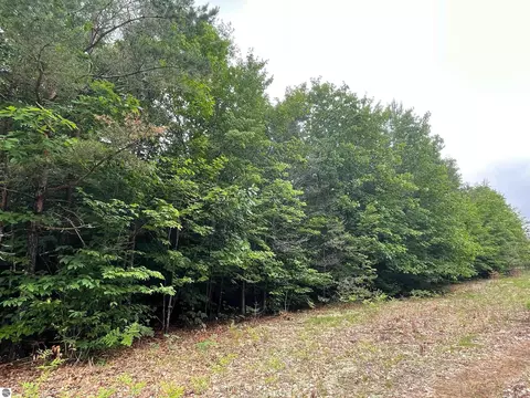 SW Montgomery Road, South Boardman, MI 49680