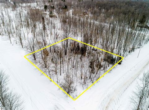 00 Pleasant Rdg, Mancelona, MI 49659