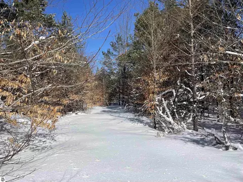 SW Montgomery Road, South Boardman, MI 49680