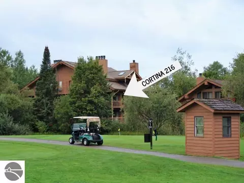 6520 Schuss Mountain Ln #216, Mancelona, MI 49659