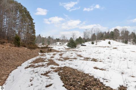 Parcel 5 E Meander Lane, Cedar, MI 49621 photo 11