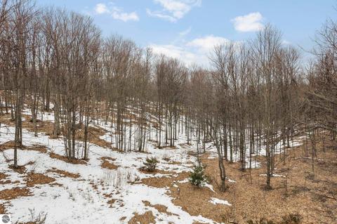 Parcel 5 E Meander Lane, Cedar, MI 49621 photo 16
