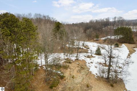 Parcel 5 E Meander Lane, Cedar, MI 49621 photo 17