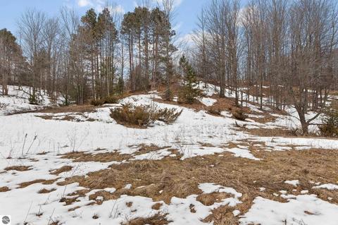 Parcel 5 E Meander Lane, Cedar, MI 49621 photo 5