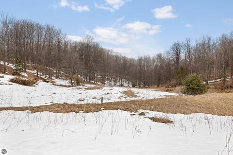 Parcel 5 E Meander Lane, Cedar, MI 49621 photo 4