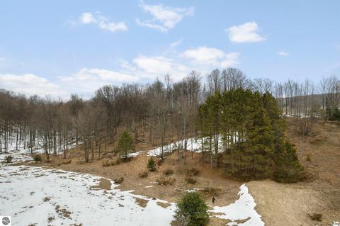 Parcel 5 E Meander Lane, Cedar, MI 49621 photo 12