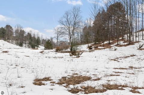 Parcel 5 E Meander Lane, Cedar, MI 49621 photo 10