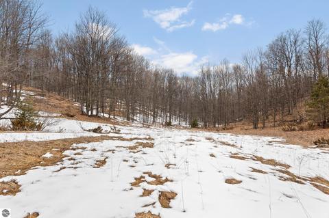 Parcel 5 E Meander Lane, Cedar, MI 49621 photo 6