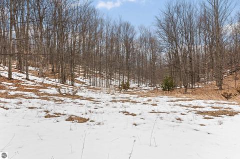 Parcel 5 E Meander Lane, Cedar, MI 49621 photo 8