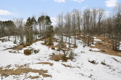 Parcel 5 E Meander Lane, Cedar, MI 49621 photo 14