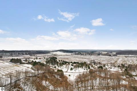 Parcel 5 E Meander Lane, Cedar, MI 49621 photo 35