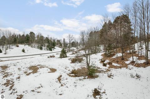 Parcel 5 E Meander Lane, Cedar, MI 49621 photo 15