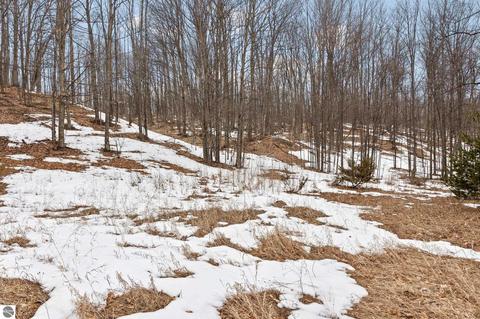 Parcel 5 E Meander Lane, Cedar, MI 49621 photo 9
