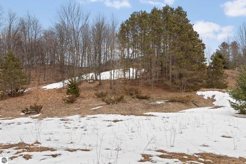 Parcel 5 E Meander Lane, Cedar, MI 49621 photo 7