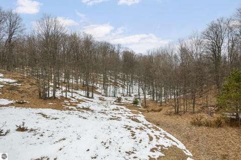 Parcel 5 E Meander Lane, Cedar, MI 49621 photo 13